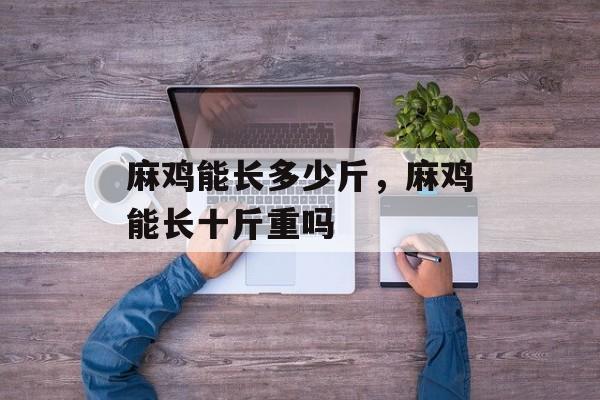 麻鸡能长多少斤，麻鸡能长十斤重吗-第1张图片-