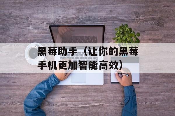 黑莓助手（让你的黑莓手机更加智能高效）-第1张图片-