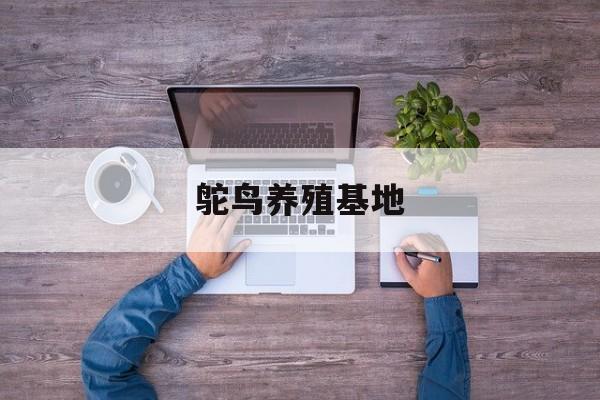 鸵鸟养殖基地-第1张图片-