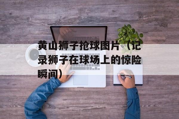 黄山狮子抢球图片（记录狮子在球场上的惊险瞬间）-第1张图片-