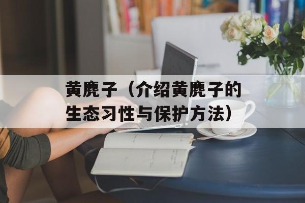 黄麂子（介绍黄麂子的生态习性与保护方法）-第1张图片-