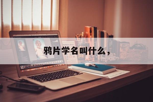 鸦片学名叫什么，-第1张图片-