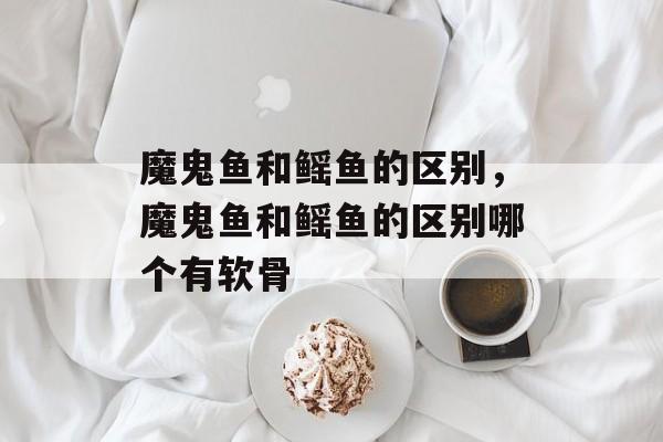 魔鬼鱼和鳐鱼的区别，魔鬼鱼和鳐鱼的区别哪个有软骨-第1张图片-