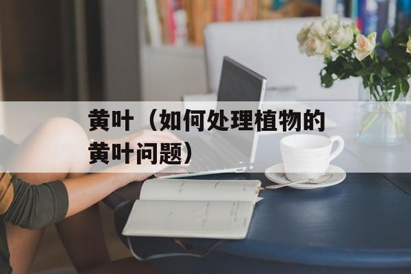黄叶（如何处理植物的黄叶问题）-第1张图片-