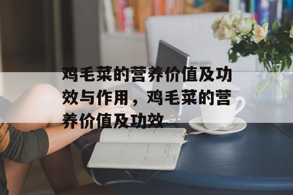 鸡毛菜的营养价值及功效与作用，鸡毛菜的营养价值及功效-第1张图片-