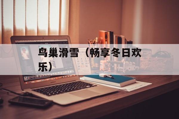 鸟巢滑雪（畅享冬日欢乐）-第1张图片-