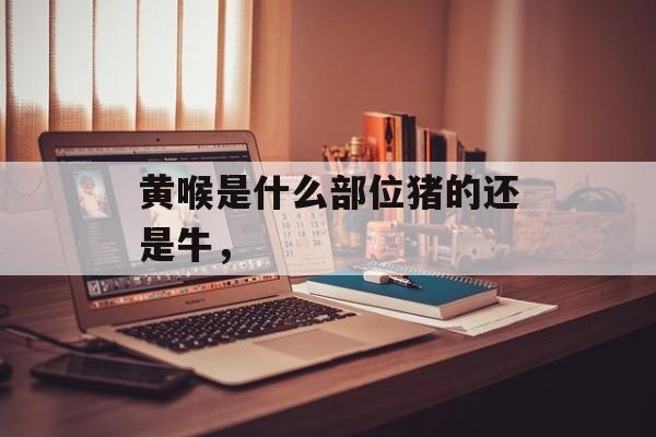 黄喉是什么部位猪的还是牛，-第1张图片-