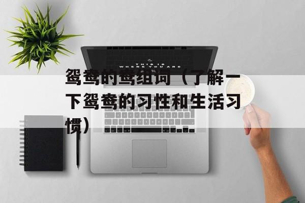 鸳鸯的鸯组词（了解一下鸳鸯的习性和生活习惯）-第1张图片-