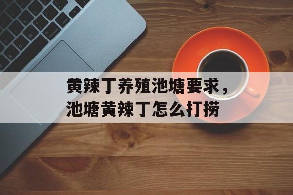 黄辣丁养殖池塘要求，池塘黄辣丁怎么打捞-第1张图片-