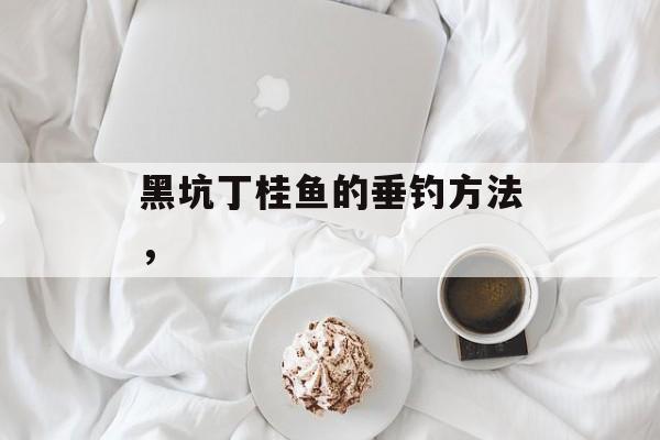黑坑丁桂鱼的垂钓方法，-第1张图片-