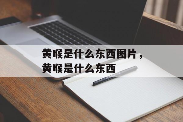 黄喉是什么东西图片，黄喉是什么东西-第1张图片-