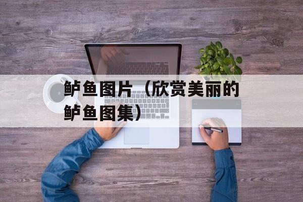 鲈鱼图片（欣赏美丽的鲈鱼图集）-第1张图片-