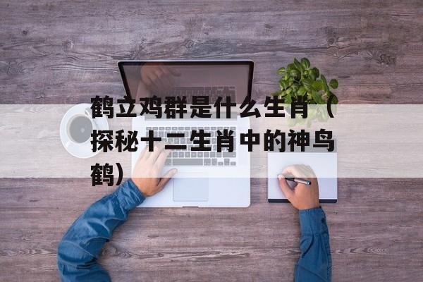 鹤立鸡群是什么生肖（探秘十二生肖中的神鸟鹤）-第1张图片-