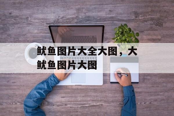 鱿鱼图片大全大图，大鱿鱼图片大图-第1张图片-