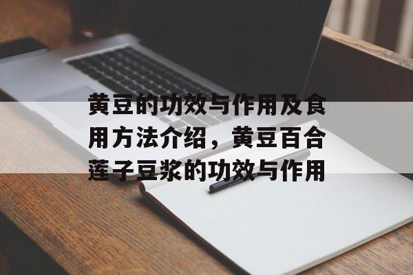 黄豆的功效与作用及食用方法介绍，黄豆百合莲子豆浆的功效与作用-第1张图片-