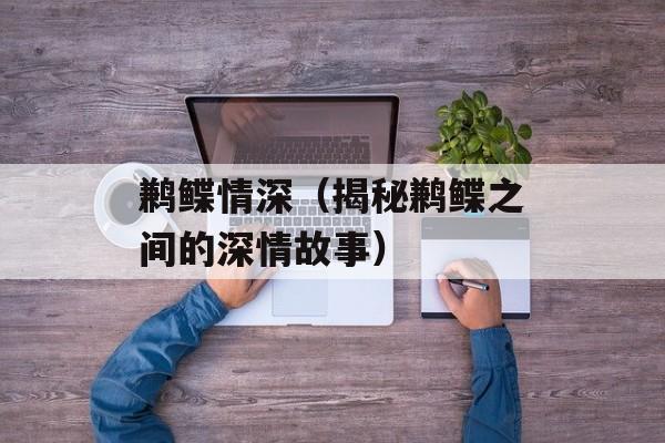 鹣鲽情深（揭秘鹣鲽之间的深情故事）-第1张图片-