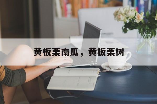 黄板栗南瓜，黄板栗树-第1张图片-