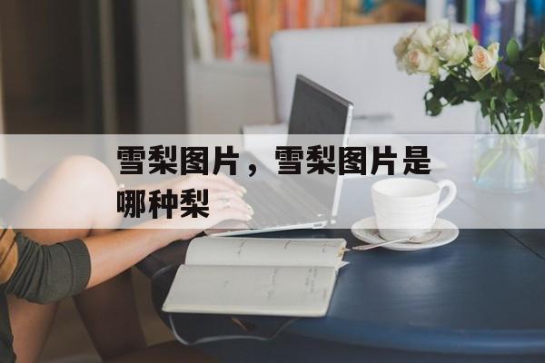 雪梨图片，雪梨图片是哪种梨-第1张图片-