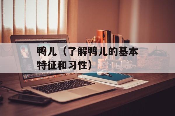 鸭儿（了解鸭儿的基本特征和习性）-第1张图片-