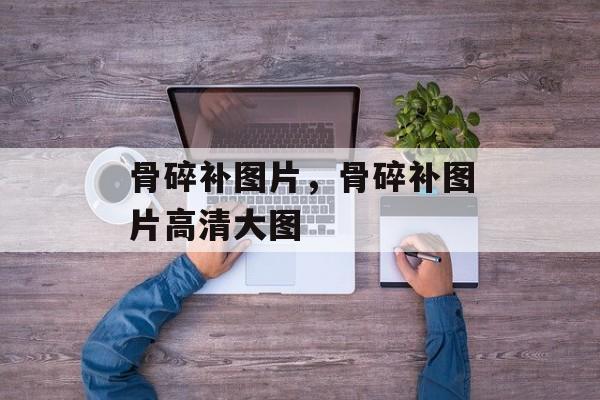 骨碎补图片，骨碎补图片高清大图-第1张图片-