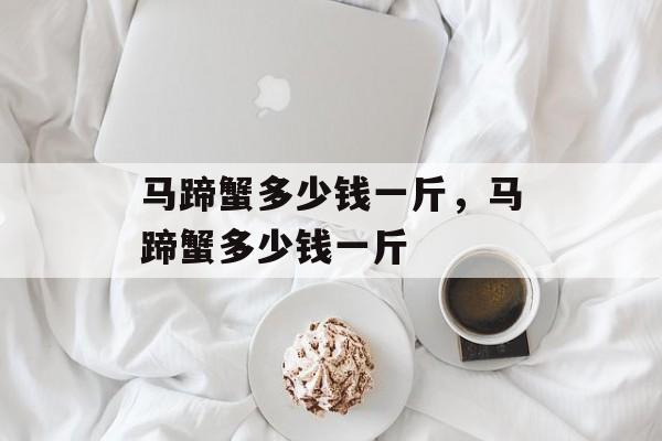 马蹄蟹多少钱一斤，马蹄蟹多少钱一斤-第1张图片-