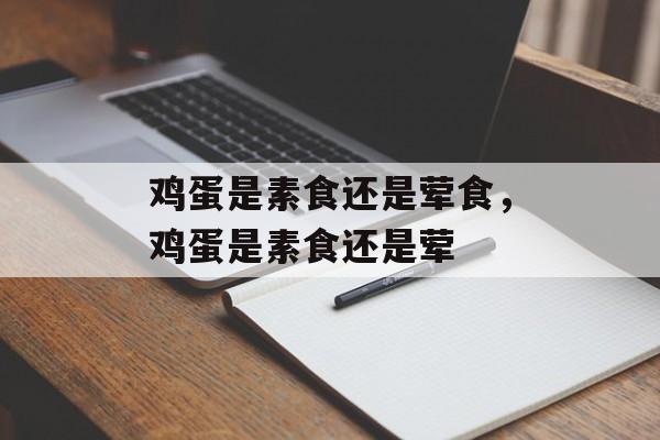 鸡蛋是素食还是荤食，鸡蛋是素食还是荤-第1张图片-