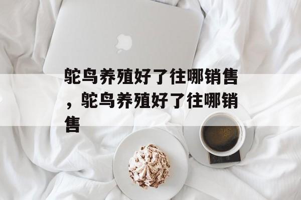 鸵鸟养殖好了往哪销售，鸵鸟养殖好了往哪销售-第1张图片-
