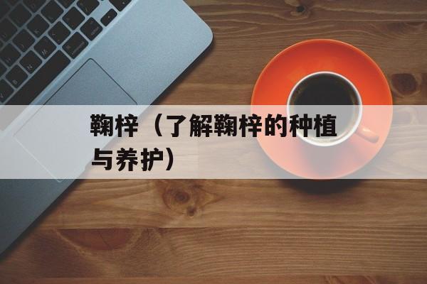 鞠梓（了解鞠梓的种植与养护）-第1张图片-