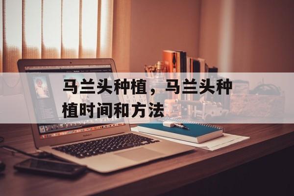 马兰头种植，马兰头种植时间和方法-第1张图片-