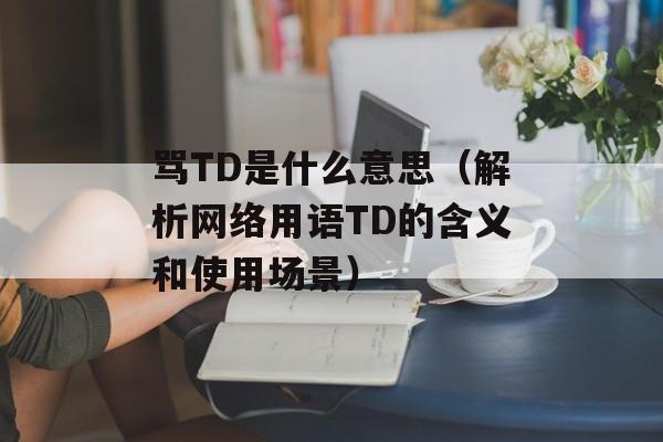 骂TD是什么意思（解析网络用语TD的含义和使用场景）-第1张图片-