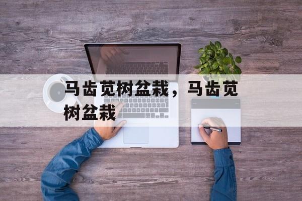 马齿苋树盆栽，马齿苋树盆栽-第1张图片-