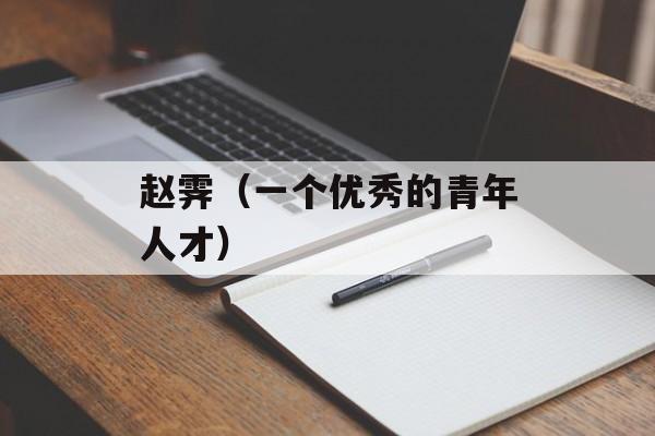 赵霁（一个优秀的青年人才）-第1张图片-