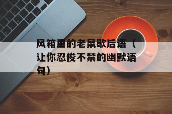 风箱里的老鼠歇后语（让你忍俊不禁的幽默语句）-第1张图片-