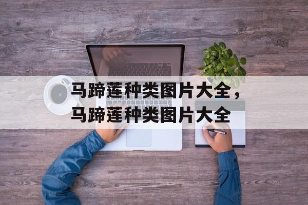 马蹄莲种类图片大全，马蹄莲种类图片大全-第1张图片-