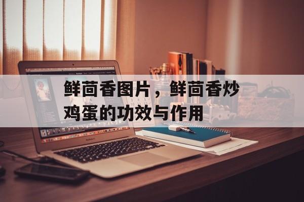 鲜茴香图片，鲜茴香炒鸡蛋的功效与作用-第1张图片-