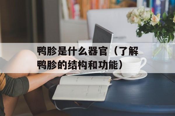 鸭胗是什么器官（了解鸭胗的结构和功能）-第1张图片-
