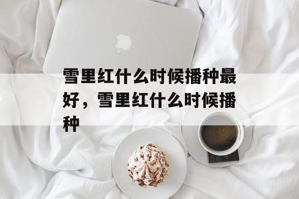 雪里红什么时候播种最好，雪里红什么时候播种-第1张图片-