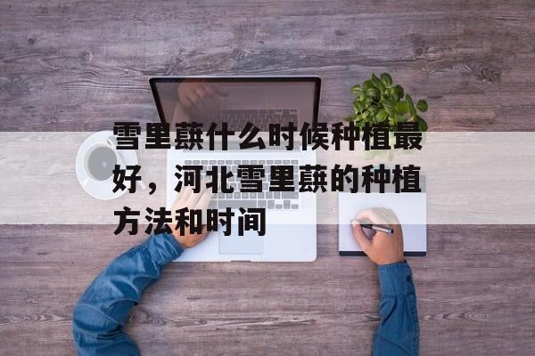 雪里蕻什么时候种植最好，河北雪里蕻的种植方法和时间-第1张图片-