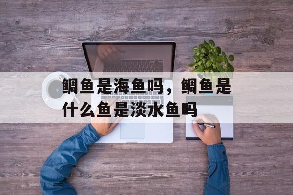 鲷鱼是海鱼吗，鲷鱼是什么鱼是淡水鱼吗-第1张图片-