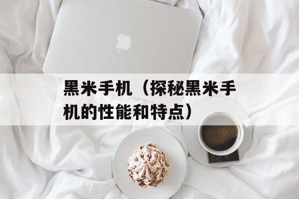 黑米手机（探秘黑米手机的性能和特点）-第1张图片-
