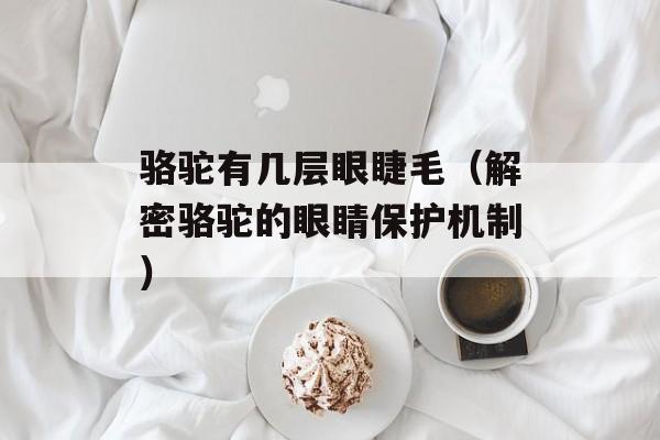 骆驼有几层眼睫毛（解密骆驼的眼睛保护机制）-第1张图片-