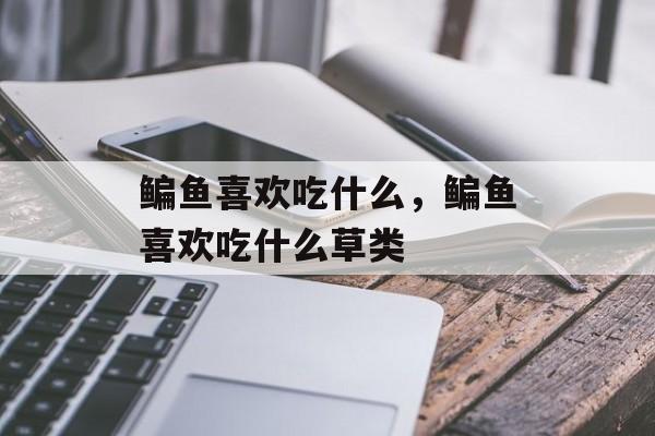 鳊鱼喜欢吃什么，鳊鱼喜欢吃什么草类-第1张图片-