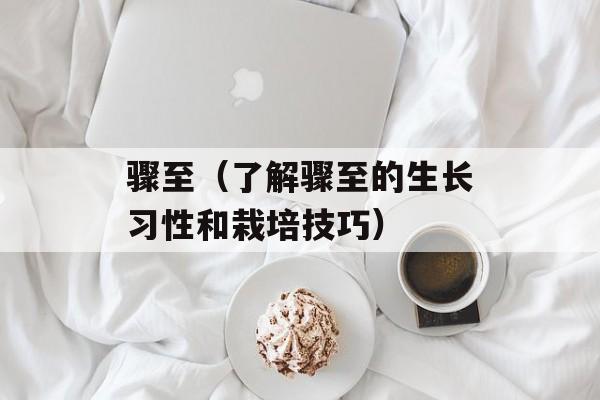 骤至（了解骤至的生长习性和栽培技巧）-第1张图片-