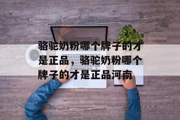 骆驼奶粉哪个牌子的才是正品，骆驼奶粉哪个牌子的才是正品河南-第1张图片-
