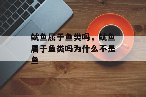 鱿鱼属于鱼类吗，鱿鱼属于鱼类吗为什么不是鱼-第1张图片-