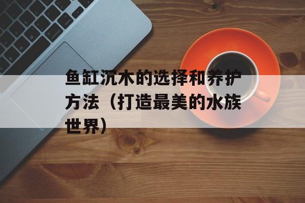 鱼缸沉木的选择和养护方法（打造最美的水族世界）-第1张图片-