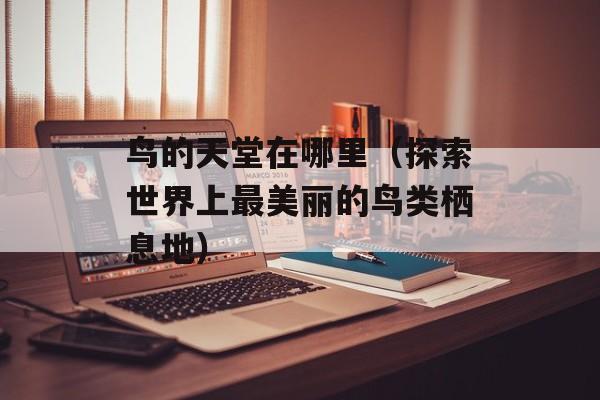鸟的天堂在哪里（探索世界上最美丽的鸟类栖息地）-第1张图片-