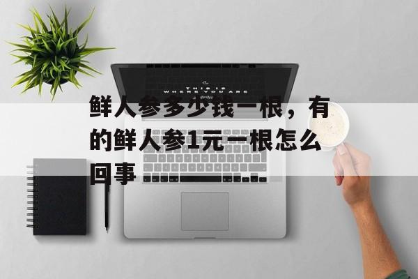 鲜人参多少钱一根，有的鲜人参1元一根怎么回事-第1张图片-