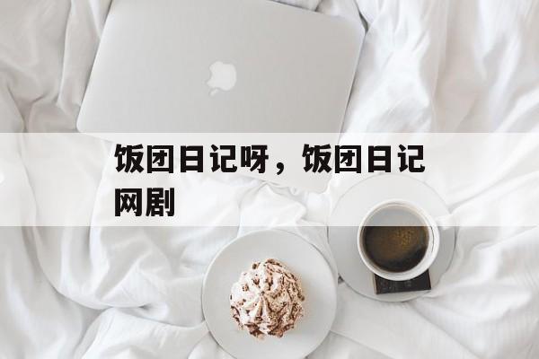 饭团日记呀，饭团日记网剧-第1张图片-