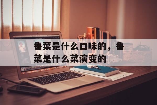 鲁菜是什么口味的，鲁菜是什么菜演变的-第1张图片-